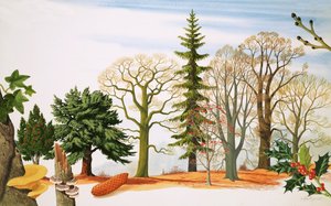 Árboles en invierno
