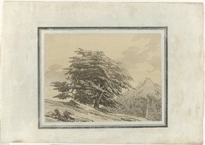 Cedro de John Robert Cozens