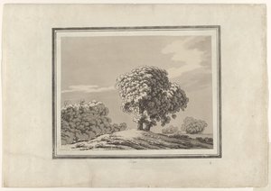 Olmo de John Robert Cozens