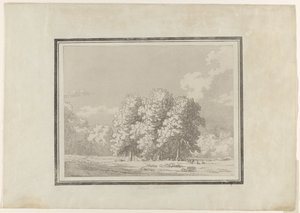 Castaño de Indias de John Robert Cozens