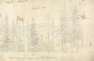 En el Tirol de John Robert Cozens