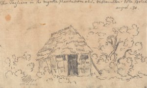 El Pagliaro en la plantación de mirtos de la Villa de Sir William Hamilton, Portici