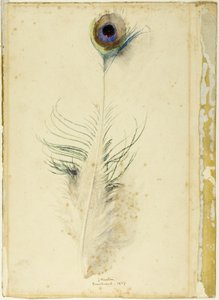 Pluma de pavo real de John Ruskin