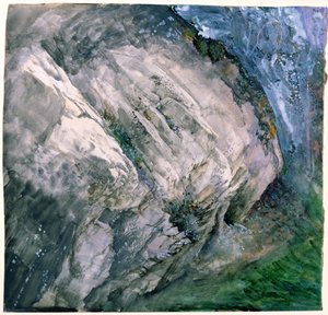 Rocas y vegetación en Chamouni, 1854 de John Ruskin