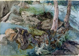 Estudio de rocas y helechos en un bosque en Crossmount, Perthshire, 1843 de John Ruskin