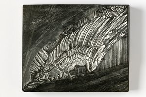 Ala" de Durero (bloque de madera grabado) de John Ruskin