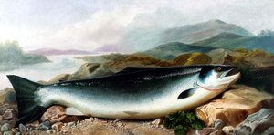 Naturaleza Muerta de un Salmón en la Orilla de un Río en un Paisaje Montañoso de John Russell
