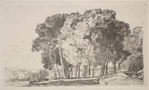Liber Studiorum: Twickenham, 1838 de John Sell Cotman