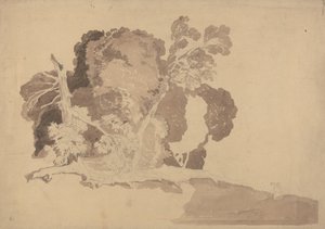 Estudio de los árboles de John Sell Cotman