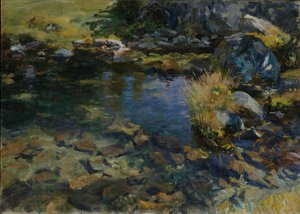 Piscina alpina