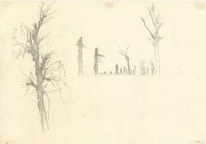 Árboles devastados