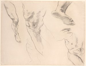Estudios de figura de un joven desnudo de John Singer Sargent