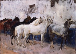 Caballos en Palma, Mallorca, España, 1908