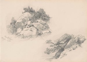 Rocas y Matorrales, Hintersee, Alemania, 1871 de John Singer Sargent