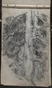 Estudio de un árbol, 1871-72