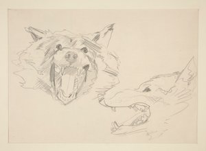 Dos vistas de un lobo de John Singer Sargent