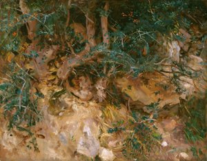 Valdemosa, Mallorca: Cardos y hierbas en una ladera de John Singer Sargent