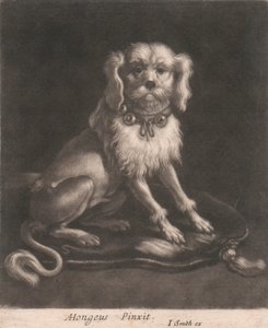 Un perro pequeño, con collar. de John Smith
