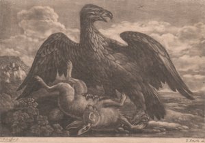 Águila y liebre de John Smith