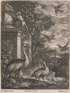 Los Reyes Pájaros de John Smith