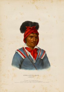 Foke-luste-hajo, a Seminole de John T. Bowen