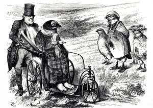 Una caricatura comentando la suspensión de la caza de urogallos para permitir la reconstrucción de la población. Ilustrado por John Tenniel (1820-1914), un ilustrador inglés, humorista gráfico y caricaturista político de John Tenniel