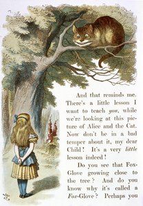 el gato de cheshire de John Tenniel