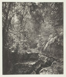 Un Paso de Montaña en Formosa