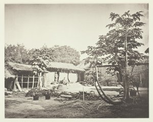 Una vivienda Pepohoan de John Thomson