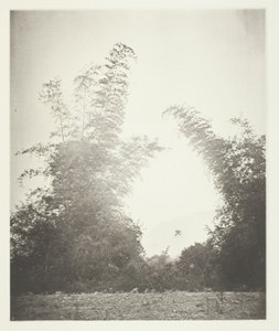 Bambúes en Baksa, Formosa de John Thomson