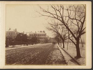 [Carretera nevada] de John Thomson