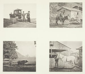 El Sedan, un oficial militar, el arado, un pony del norte de China