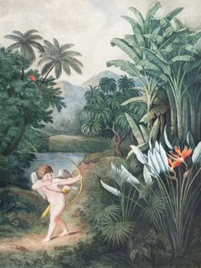 «Cupido inspirando a las plantas con amor», del «Templo de Flora» (1807), de Robert John Thornton de John Thornton