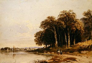 Paisaje fluvial