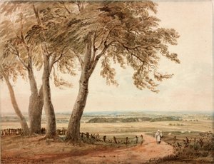 Vista desde Polsden cerca de Bookham en Surrey de John Varley