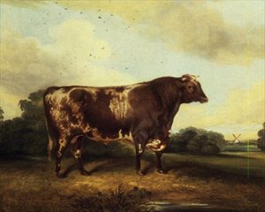 Toro Marrón y Blanco en el Paisaje
