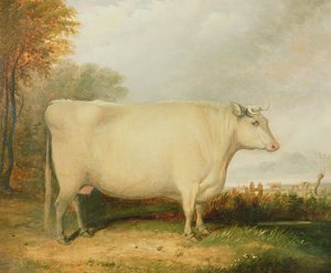 Retrato de una vaca premiada de John Vine