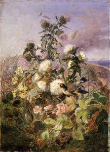Un jilguero y una mariposa entre cardos y flores de zarzamora de John Wainwright