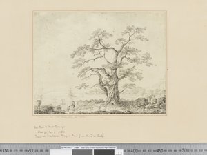 Vista en la orilla del mar, gran árbol en el centro de John Webber