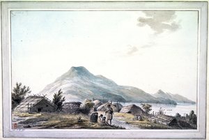 The Hippah, Nueva Zelanda
