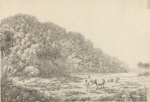 Vista en la isla de Pulo Condore de John Webber