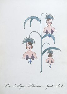 Fleur de Lysia (Parisiana Spectacula.), ilustración de 