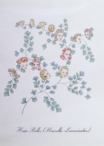 Hair-Belles (Marcella Luxuriantia), ilustración de "The Bogus Book of Botany" de John Weir