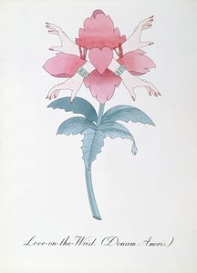 Ilustración del amor en la muñeca (Donum Amoris.) de "The Bogus Book of Botany" de John Weir