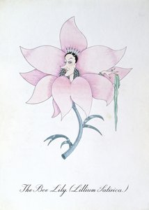 El lirio de las abejas (Lillium Satirica.), ilustración de "The Bogus Book of Botany" de John Weir de John Weir