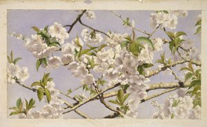 Flores de manzano, c.1874 de John William Hill