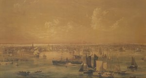 Nueva York desde el East River, 1852