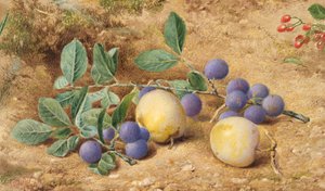 Ciruelas