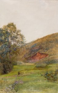 The Quantock Hills, c.1870 (acuarela sobre papel) de John William North