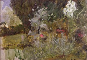 Estudio de flores y follaje, para 